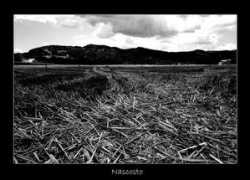 maxartis.it Nascosto