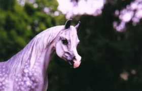 gatcombe.com Nashh