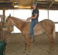 circle-s-quarter-horses.com Nashley