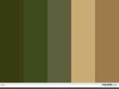 colourlovers.com Nasica