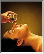 ayurveda.cz Nasja