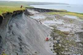 Nasogaluak
