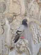 asia-mateusz.flog.pl Nasram