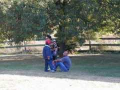 aps.uoguelph.ca Nasreldin