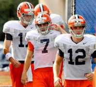 Nassib