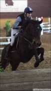 equestrian.ru Nastenko