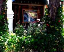bleich4art.com Nastur