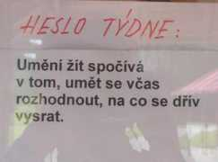poi.cz Natalek