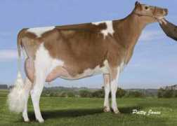 worldguernseys.org Natalena