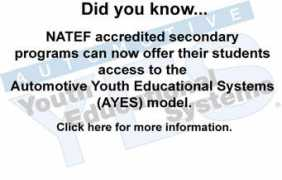 Natef
