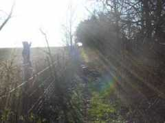 picturesofengland.com Nately