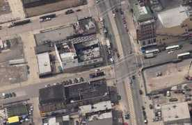 newyorkbirds.free.fr Nathand