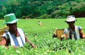 allafrica.com Natoin