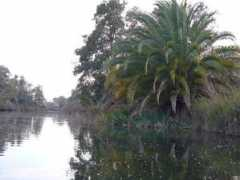 panoramio.com Natoma