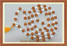 rudraksh.info Natraaj