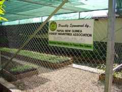 fiapng.com Natree