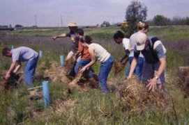 bioregion.ucdavis.edu Natres