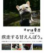 zaihoo.jp Natsuhiko