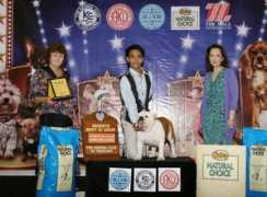 thailanddogshow.com Nattapon