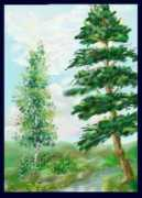 ratemydrawings.com Natura
