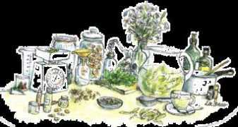 naturopathe-paca.fr Naturopathie