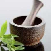 altmedicinezone.com Naturopathy