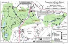 newenglandsite.com Naugatuck