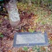 cemeteries-of-tx.com Naulin