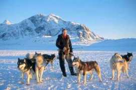 greenlandguide.dk Navarana