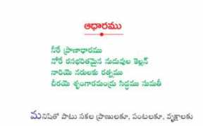navatha.com Navatha