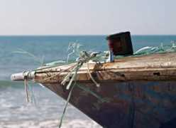 Navigato