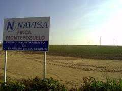 hoy.es Navisa