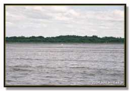 birdwatch.ph Navotas