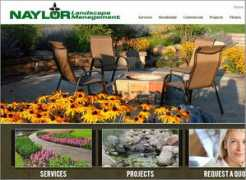 bluefiremediagroup.com Naylor