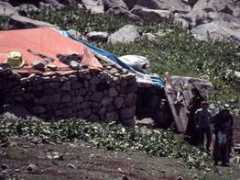 Nazaf