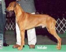 hpk-tropaco.com Ndale