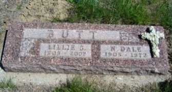 rootsweb.ancestry.com Ndale