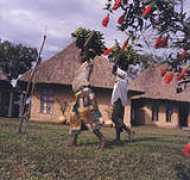 gorillatrackinguganda.com Ndali