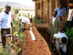 Ndare