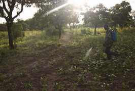 christianaid.org.uk Ndebugri