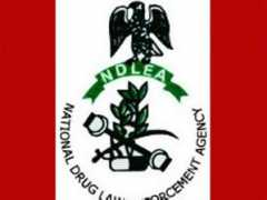 Ndlea