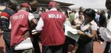 Ndlea