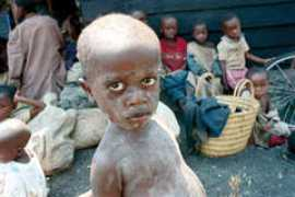 un.org Ndosha
