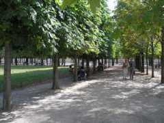 Near