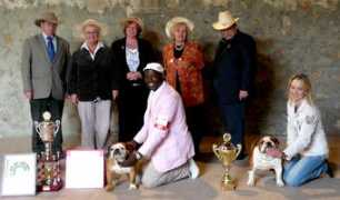 garnerbulls.com Nebis