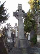 irishgraves.com Nedley