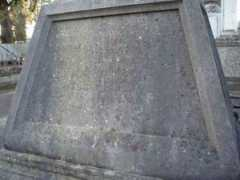 irishgraves.com Nedley