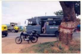 Neeli
