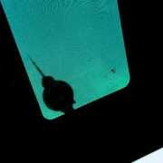 photocase.de Neelz