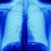 Nefes